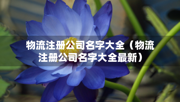 物流注册公司名字大全（物流注册公司名字大全最新）
