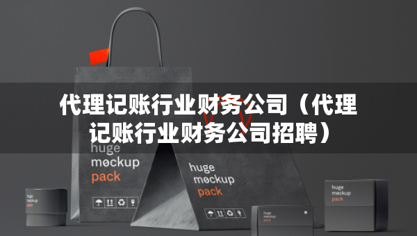 代理记账行业财务公司（代理记账行业财务公司招聘）