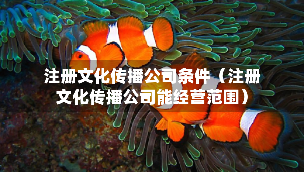 注册文化传播公司条件（注册文化传播公司能经营范围）