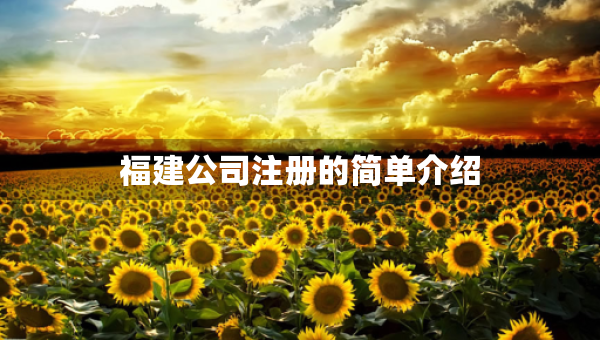 福建公司注册的简单介绍