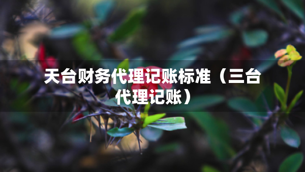 天台财务代理记账标准（三台代理记账）