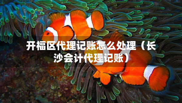 开福区代理记账怎么处理（长沙会计代理记账）
