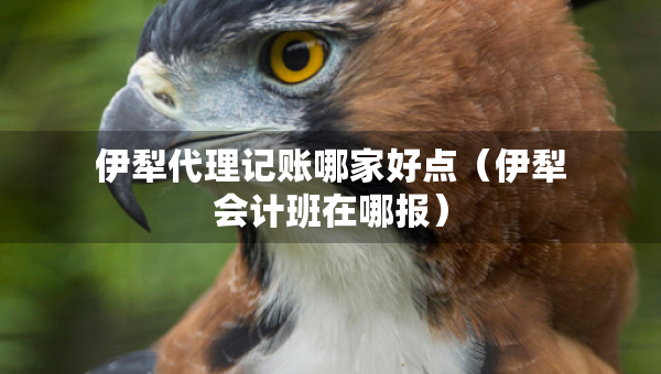 伊犁代理记账哪家好点（伊犁会计班在哪报）