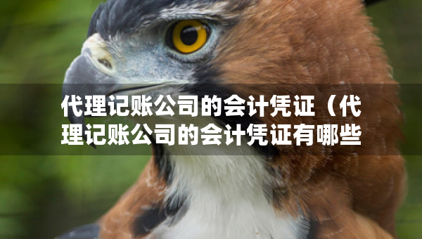 代理记账公司的会计凭证（代理记账公司的会计凭证有哪些）