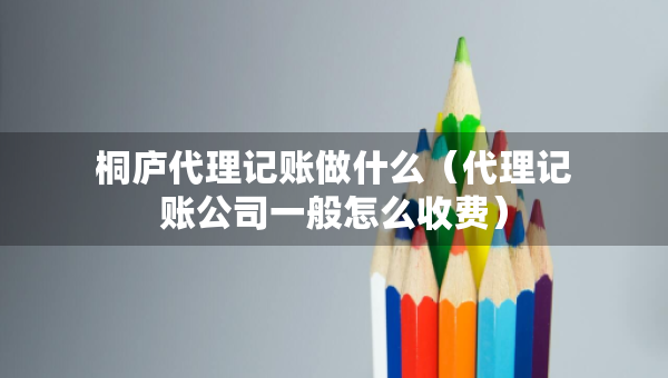 桐庐代理记账做什么（代理记账公司一般怎么收费）