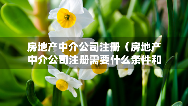 房地产中介公司注册（房地产中介公司注册需要什么条件和资质）