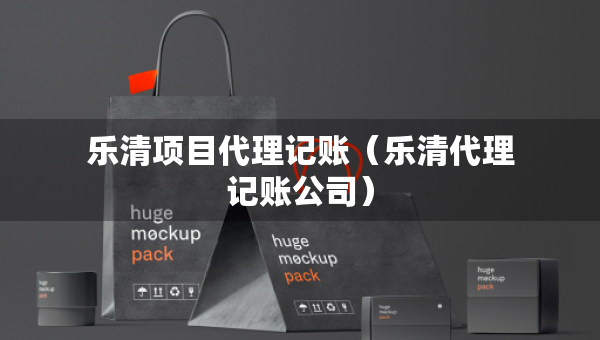 乐清项目代理记账（乐清代理记账公司）