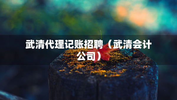 武清代理记账招聘（武清会计公司）