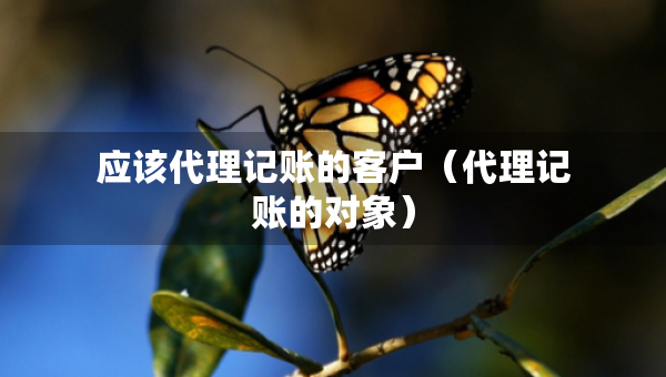 应该代理记账的客户（代理记账的对象）