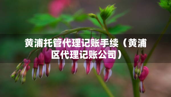 黄浦托管代理记账手续（黄浦区代理记账公司）