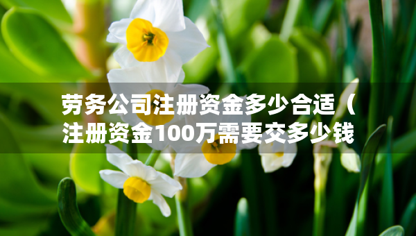 劳务公司注册资金多少合适（注册资金100万需要交多少钱）