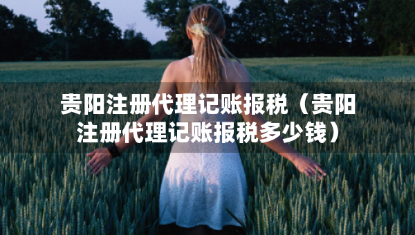 贵阳注册代理记账报税（贵阳注册代理记账报税多少钱）