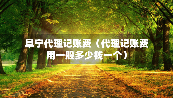 阜宁代理记账费（代理记账费用一般多少钱一个）