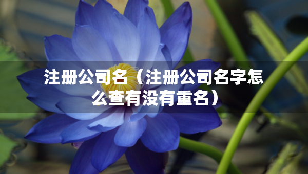 注册公司名（注册公司名字怎么查有没有重名）