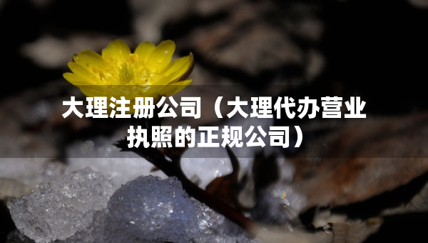 大理注册公司（大理代办营业执照的正规公司）