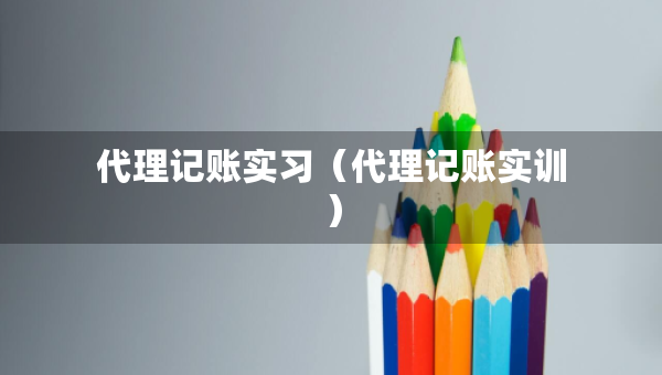 代理记账实习（代理记账实训）