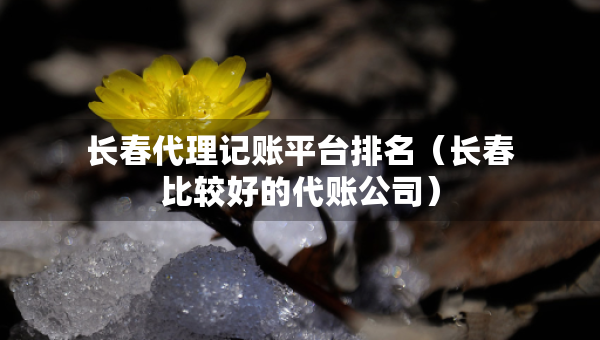 长春代理记账平台排名（长春比较好的代账公司）