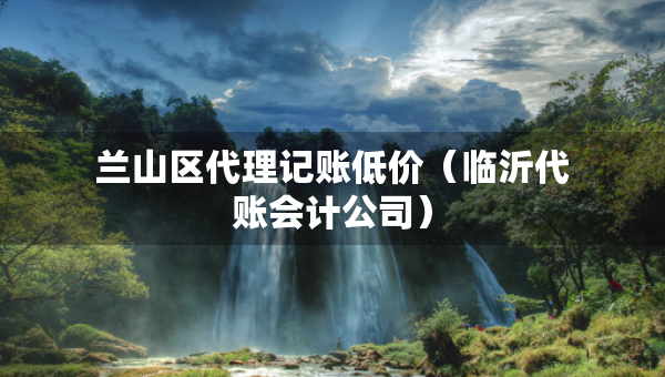 兰山区代理记账低价（临沂代账会计公司）