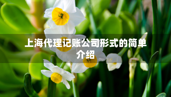 上海代理记账公司形式的简单介绍