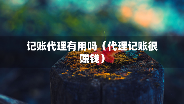 记账代理有用吗（代理记账很赚钱）