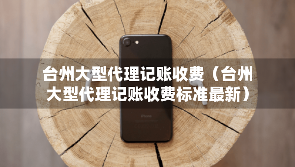 台州大型代理记账收费（台州大型代理记账收费标准最新）