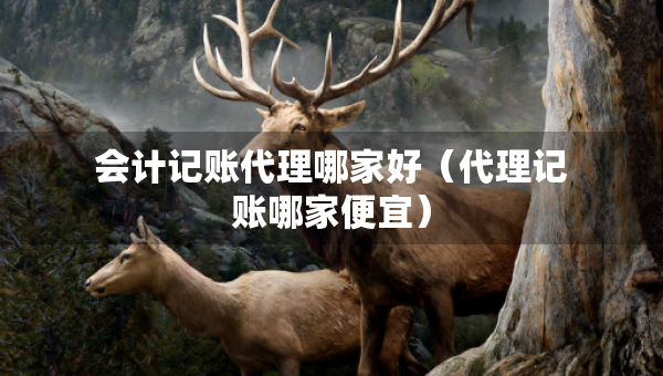 会计记账代理哪家好(代理记账哪家便宜) 会计记账代理哪家好(代理记账哪家便宜)
