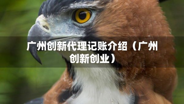 广州创新代理记账介绍(广州创新创业) 广州创新代理记账介绍(广州创新创业)
