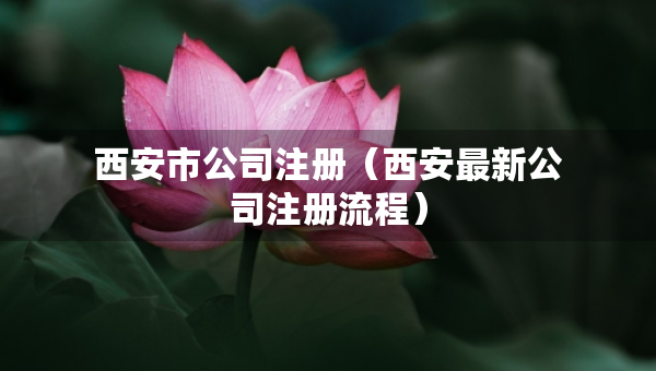 西安市公司注册（西安最新公司注册流程）