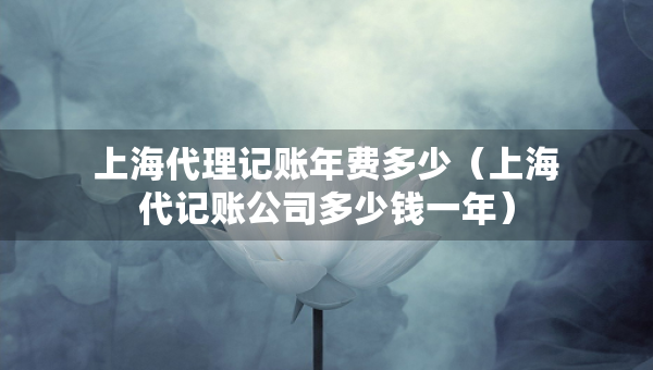 上海代理记账年费多少（上海代记账公司多少钱一年）