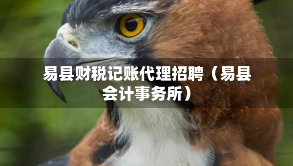 易县财税记账代理招聘（易县会计事务所）