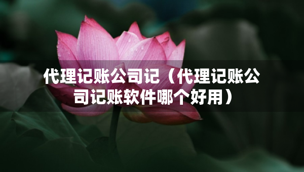 代理记账公司记（代理记账公司记账软件哪个好用）