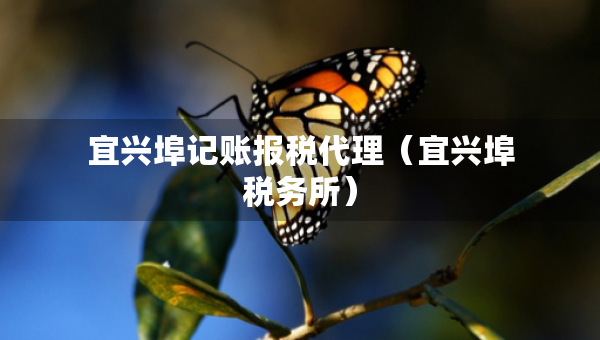 宜兴埠记账报税代理（宜兴埠税务所）