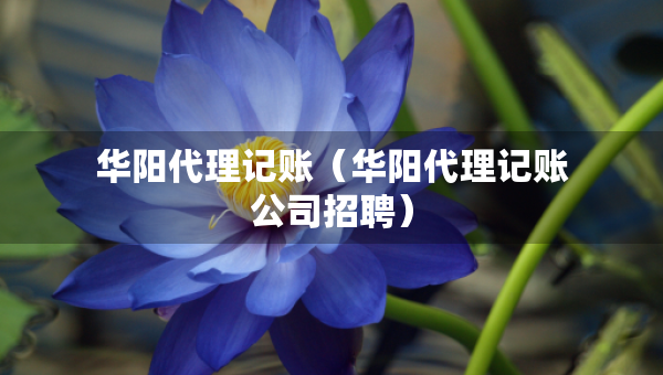 华阳代理记账(华阳代理记账公司招聘) 华阳代理记账(华阳代理记账公司招聘)