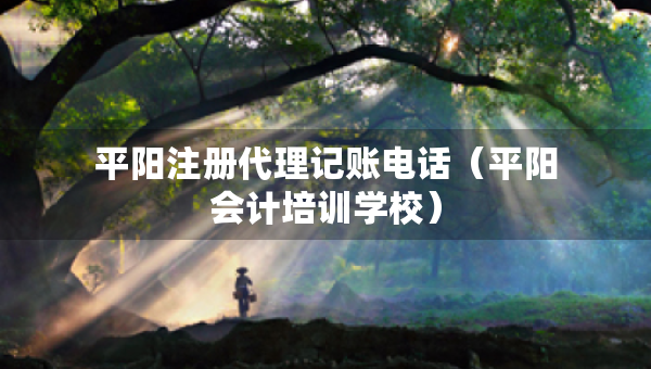 平阳注册代理记账电话（平阳会计培训学校）