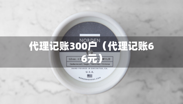 代理记账300户（代理记账66元）
