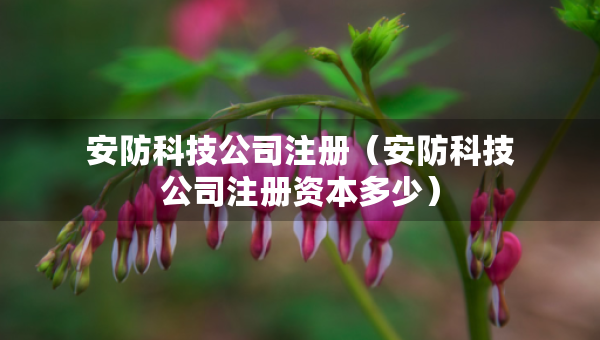 安防科技公司注册（安防科技公司注册资本多少）
