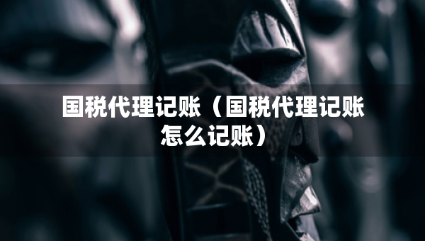国税代理记账（国税代理记账怎么记账）