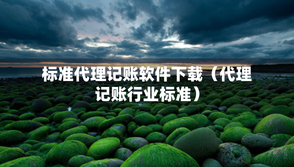 标准代理记账软件下载（代理记账行业标准）