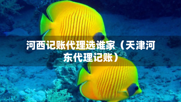 河西记账代理选谁家（天津河东代理记账）