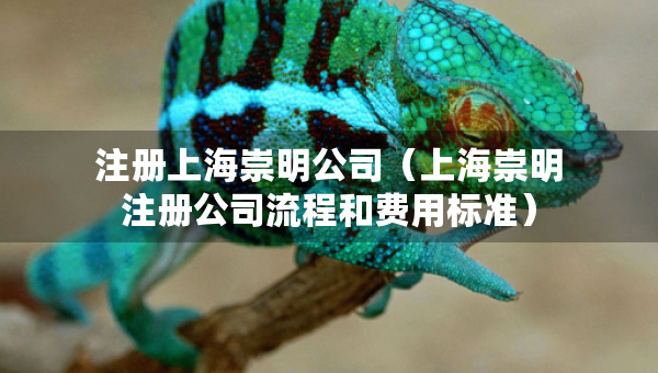 注册上海崇明公司（上海崇明注册公司流程和费用标准）