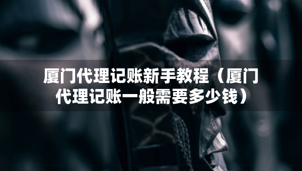 厦门代理记账新手教程（厦门代理记账一般需要多少钱）