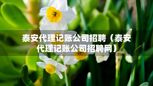 泰安代理记账公司招聘（泰安代理记账公司招聘网）