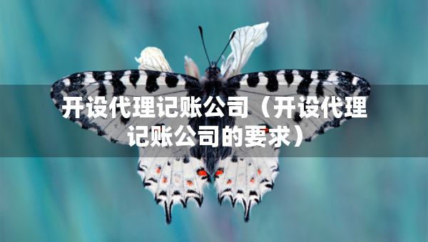 开设代理记账公司（开设代理记账公司的要求）