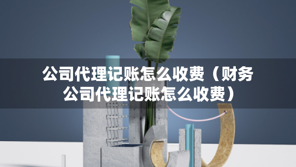 公司代理记账怎么收费（财务公司代理记账怎么收费）