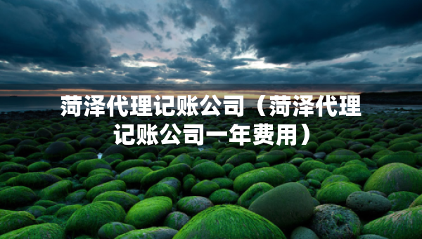菏泽代理记账公司(菏泽代理记账公司一年费用) 菏泽代理记账公司(菏泽代理记账公司一年费用)