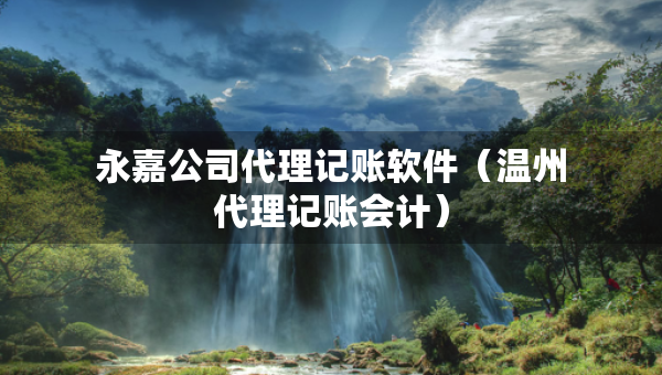 永嘉公司代理记账软件（温州代理记账会计）