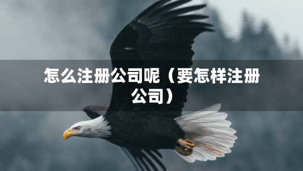 怎么注册公司呢（要怎样注册公司）