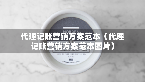 代理记账营销方案范本（代理记账营销方案范本图片）