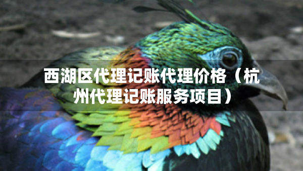 西湖区代理记账代理价格(杭州代理记账服务项目) 西湖区代理记账代理价格(杭州代理记账服务项目)