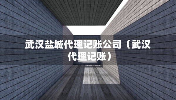 武汉盐城代理记账公司（武汉 代理记账）